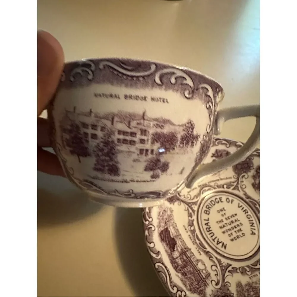 Vtg Old English Staffordshire Ware Natural Bridge Virginia Cup & Saucer Mulberry